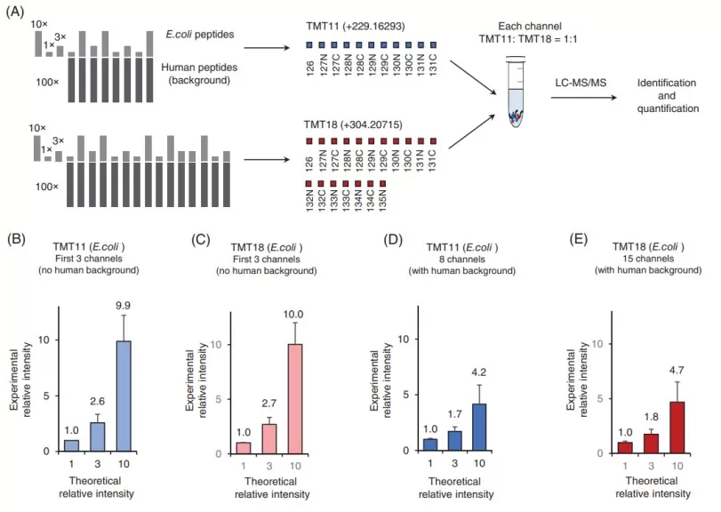 Experimental design for evaluating the interference in TMT29